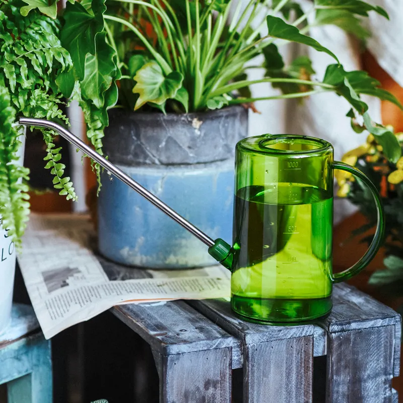 Clear Green Simple Design Custom Succulent Little Watering Can Garden