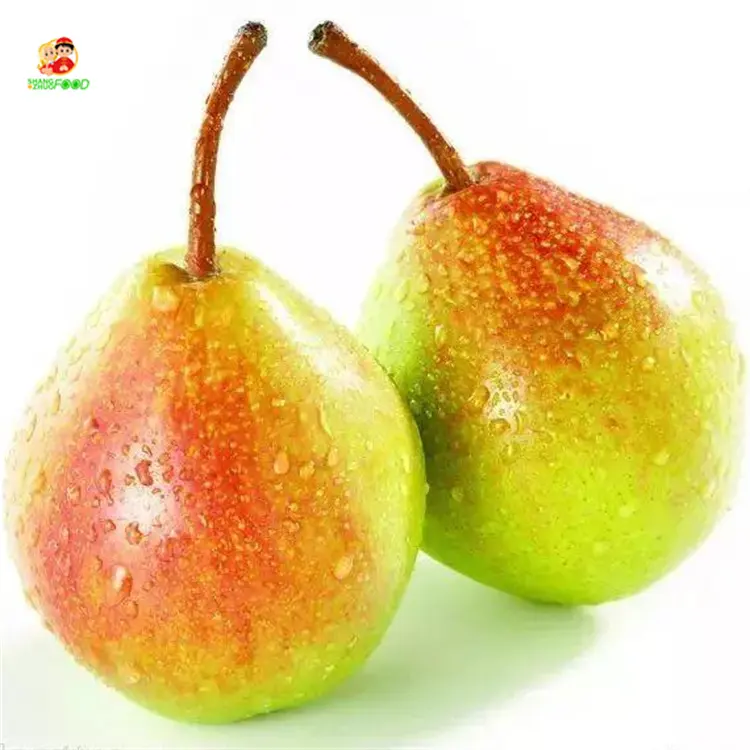 New corp Pear Fruit fresh pears Sweet and juicy xinli No.7 pear fruit for export