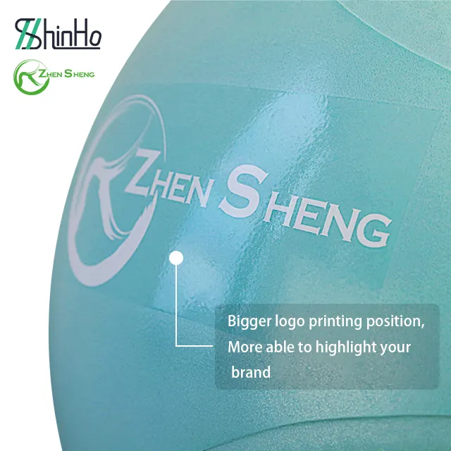 Zhensheng Gym Ball Anti Burst Yoga Ball 45cm 55cm 65cm 75cm 85cm