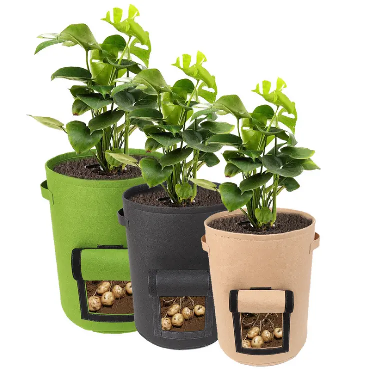 Vegetable growing bag felt plant growing bag 5 / 7 / 10 gallon