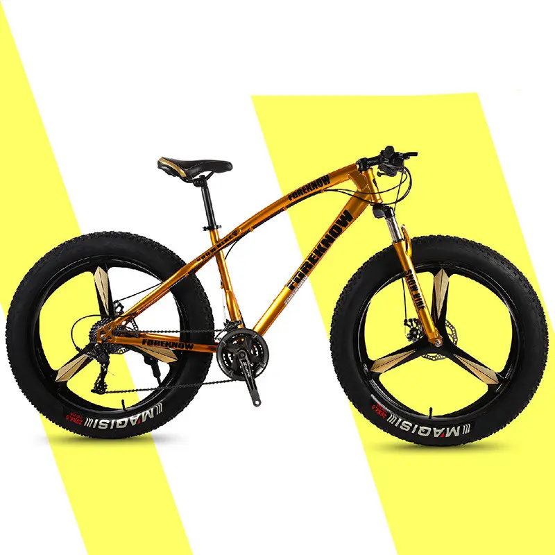 20"24"26 inch 7/21/24/27 speed bike mountain bicycle 4.0 fat tyre bike with low price  beach snow bicicleta for sale
