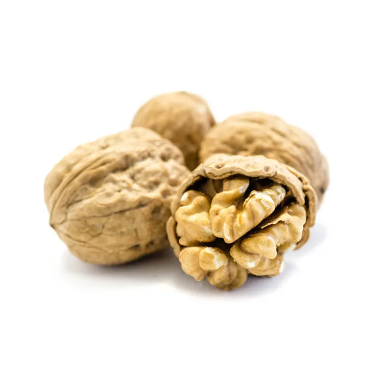 Factory Supply 33 Inshell Price Cheap Walnuts Bulk Walnuts In Shell