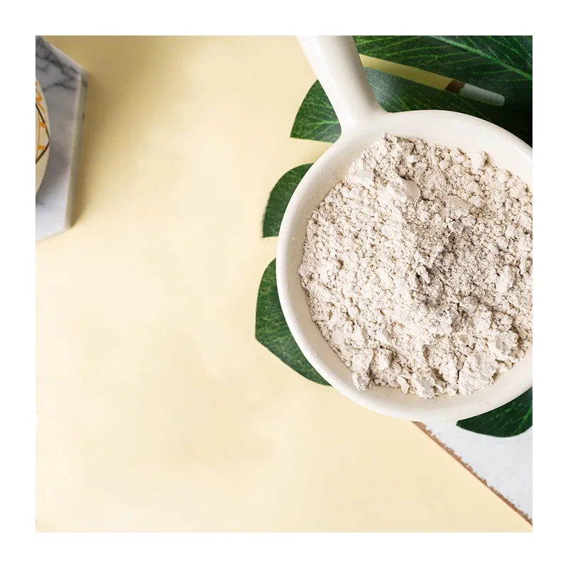 Pure Plant Based Plant Extract Vegan Protein Wholesale Sunflower Seed Protein Powder