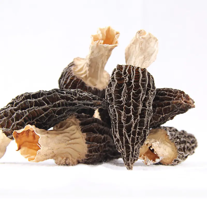 Supplydry mushroom Fresh Dried magic Morchella morels in bulk