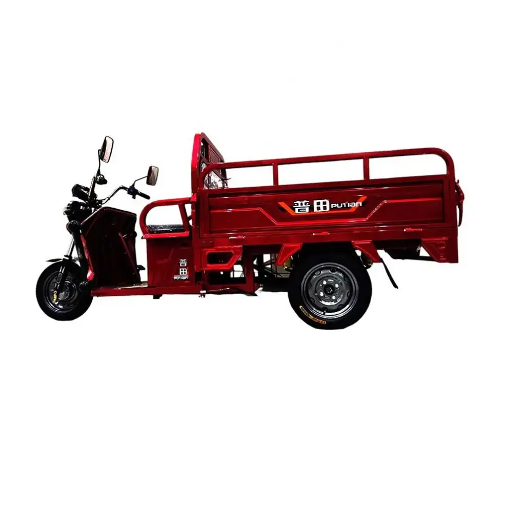 Factory Direct Sale Cargo Tok Trailer Three Wheel Motorcycle Transport Pallet Trolley Tcover Iguan 2021 Motorized Tricycle