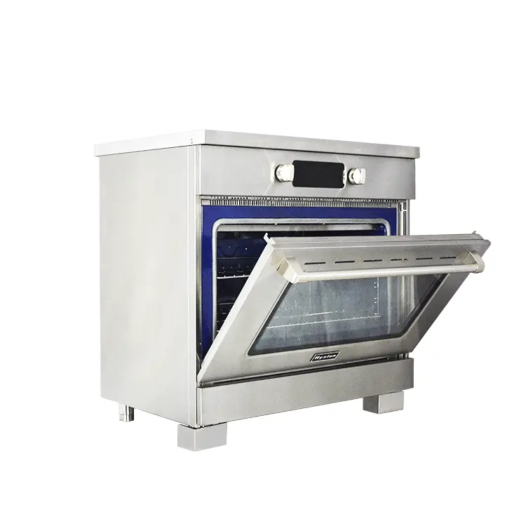 Hyxion Electric profession gas cooker and oven Ovens four electrique Ovens