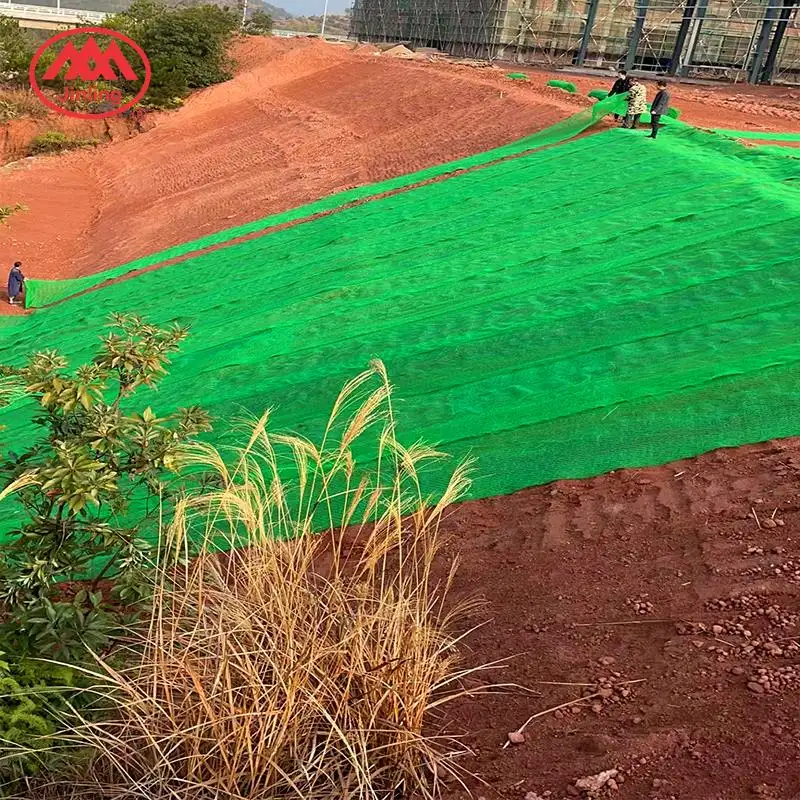 Other Earthwork Products 3D Plastic Vegetation Geomat Erosion Control Blanket Mat Manufacturer