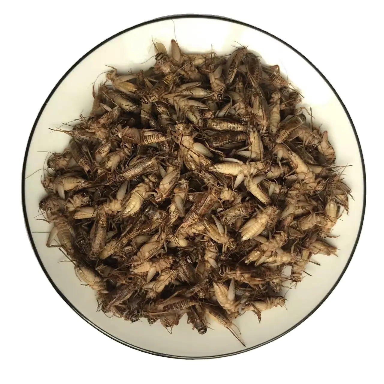 Сушеные СВЕРЧКИ съедобные насекомые оптовая продажа домашних червей еды съедобный крикет