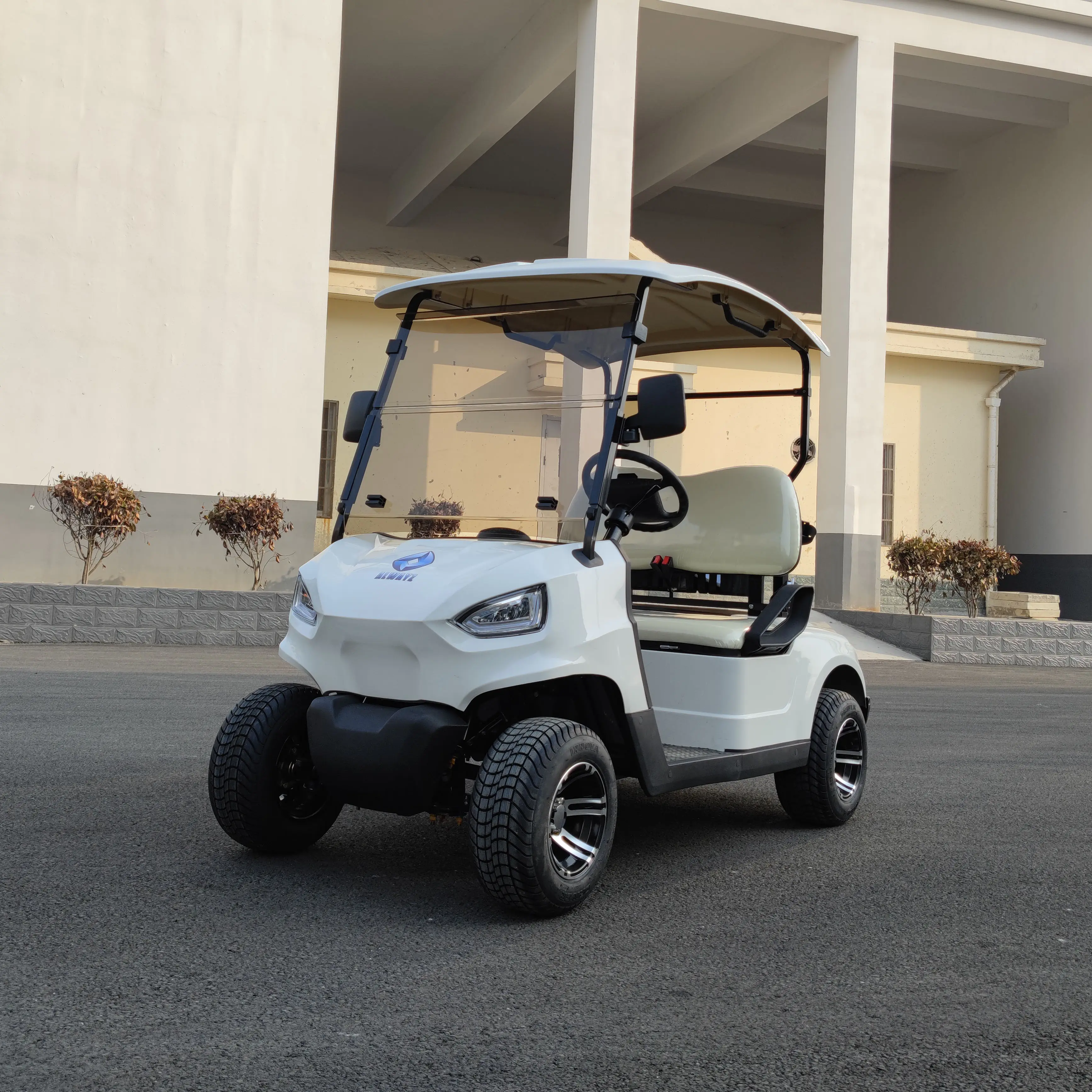 2 seater high quality electric golf car  mini cart