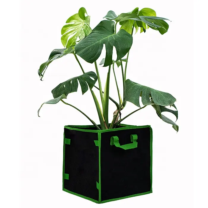 Plant Growing Bag 3/5/7/10 Gallon Potato Grow Bags Non Wonven Fabric Mushroom Grow Pots Grow Bags For Plants