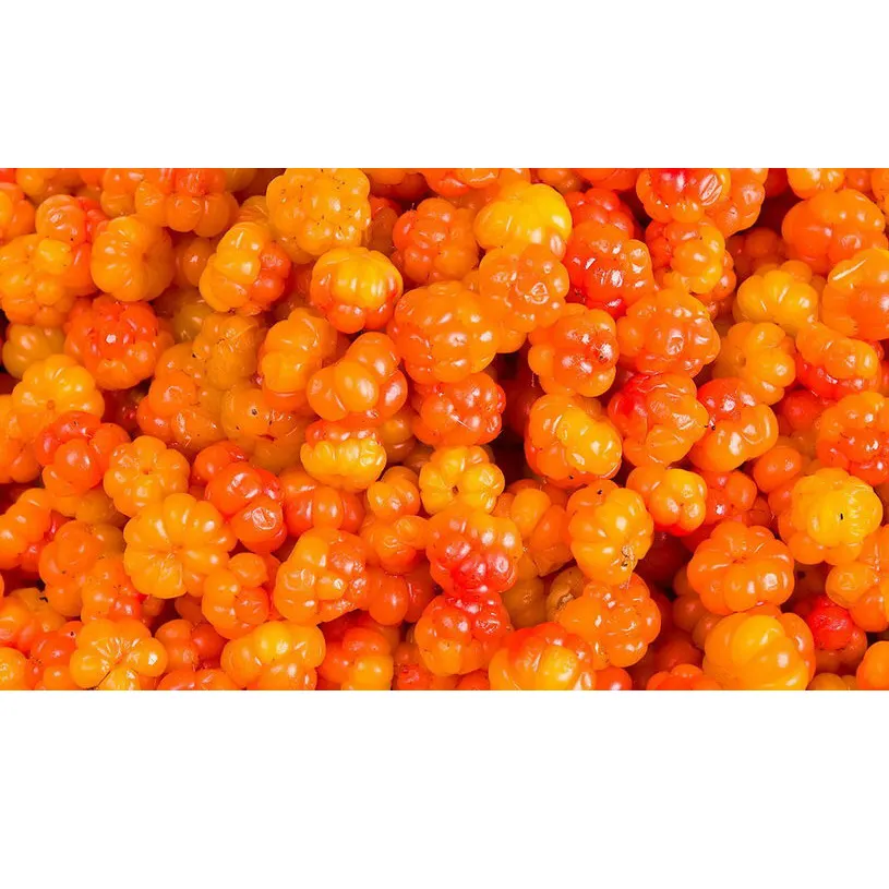 Eco-friendly Box Packaging GOST Standard Fresh/Frozen Cloudberry Royal Berries From Rich Wild Lands of the Arkhangelsk