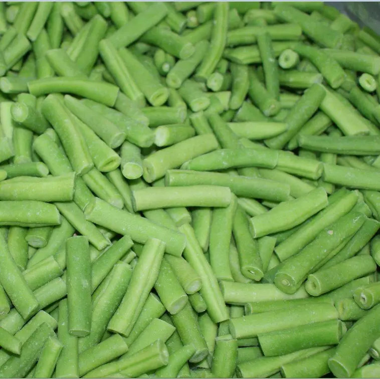 HACCP Certificates Wholesale Frozen Green Beans