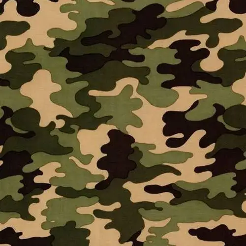 China High Quality 65%Polyester 35%Cotton Rip-Stop Digital 600D PVC coated camouflage woven oxford mesh fabric