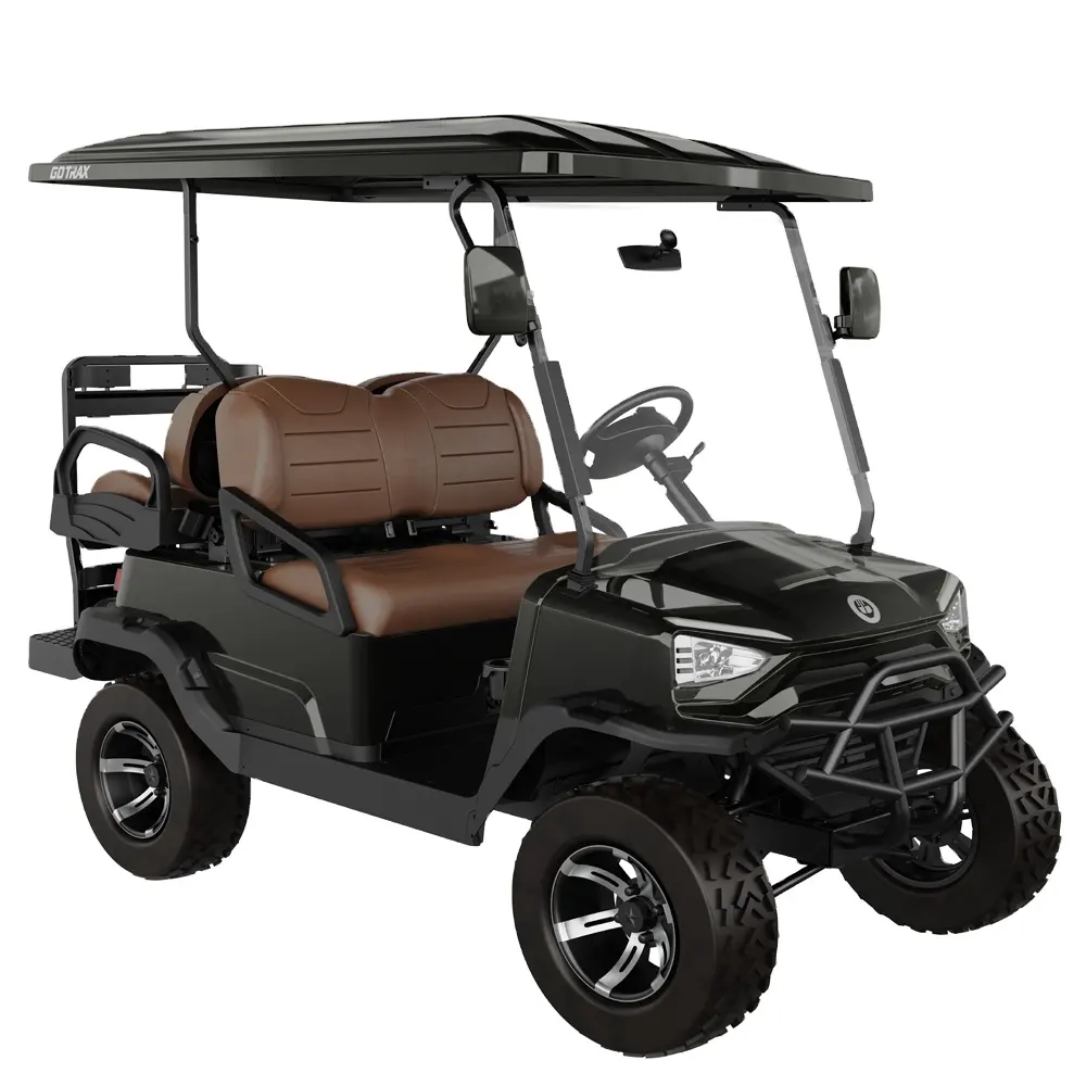 Tao Motor 2023 Chinese New Design 48V Utility Golf Car  Electric Golf Carts Electric