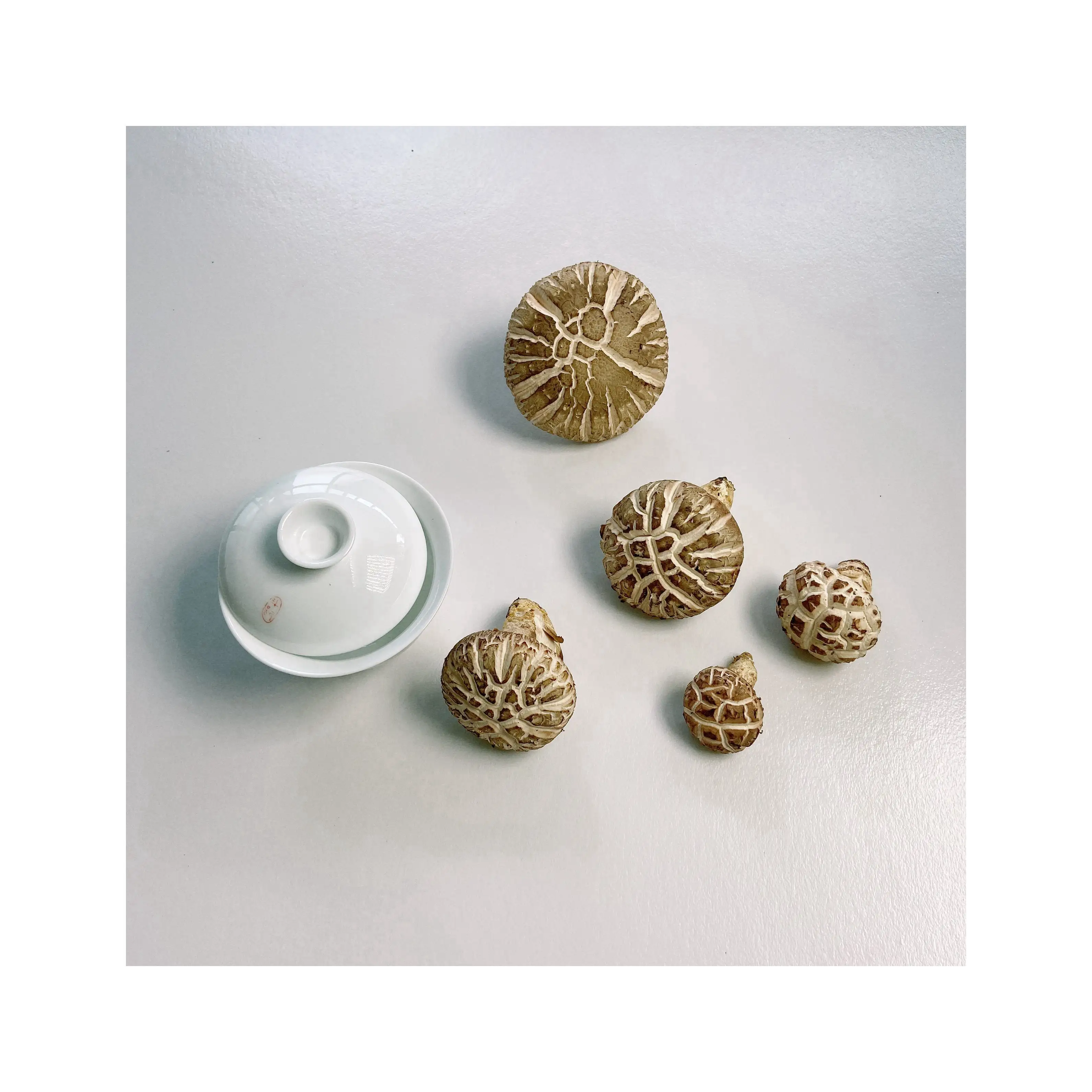 High Quality Round Umbrella-shaped Buy Healthy Dried Shiitake Mushrooms