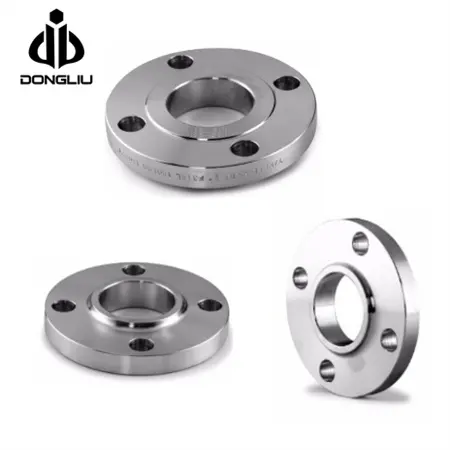 DONGLIU Customized Forging Stainless Steel Nonstandard Flange Large Diameter Ring Flange