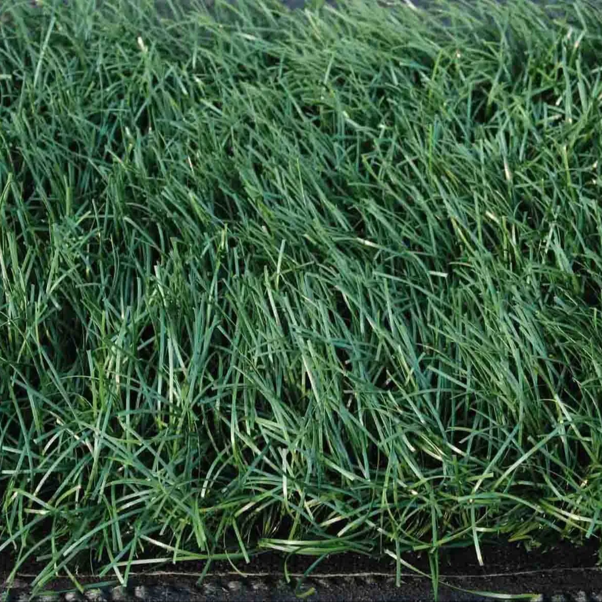 Подходит для спорта, лучший искусственный газон, лучшая искусственная трава, зеленая искусственная трава, завод