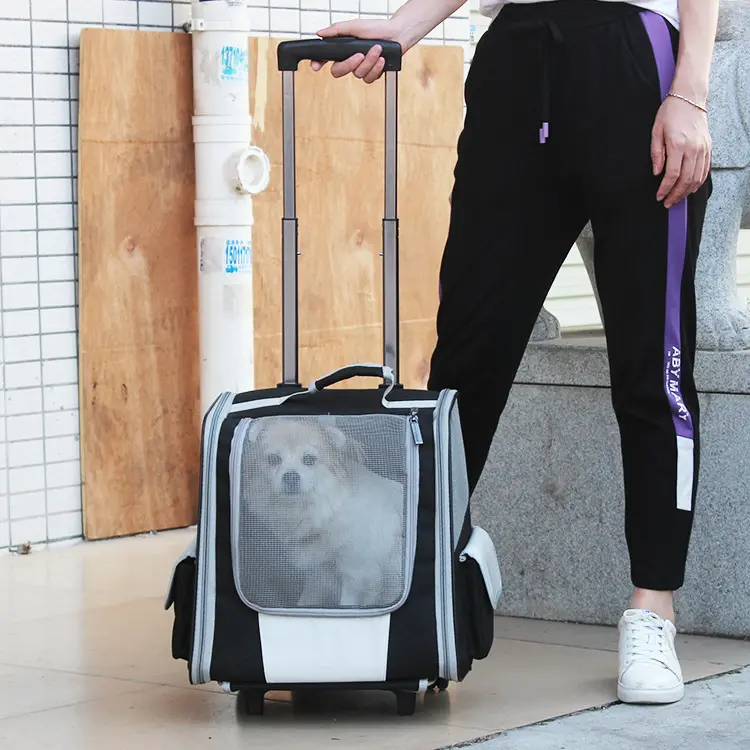 Breathable Portable Pet Carrier Bag Outdoor Travel Set Transparent Space Trolley Pet Backpack For Cat Dog