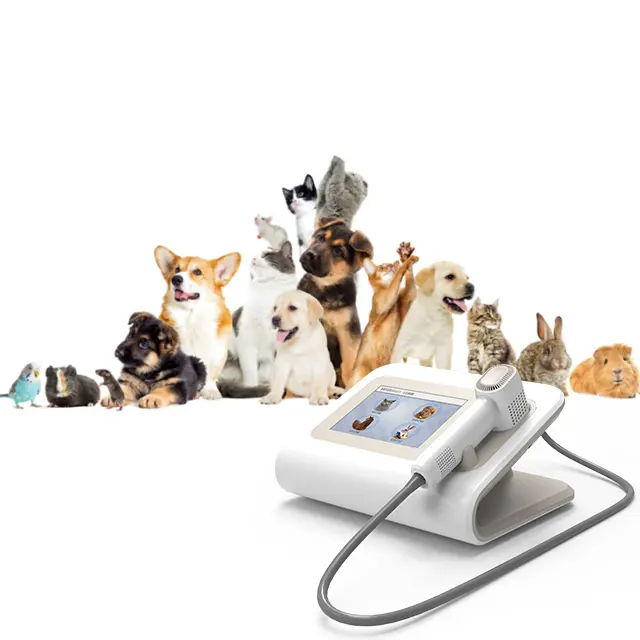 Veterinary Laser Veterinary Laser For Pain Relief And Healing In Pets And Larger Animals