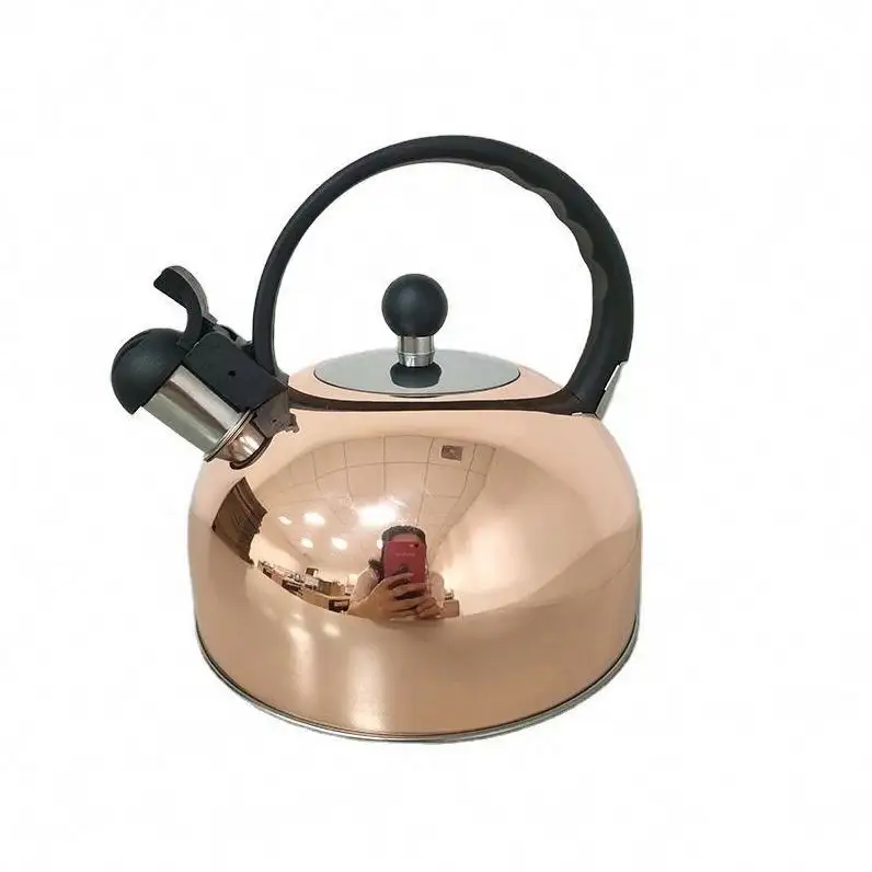 Kettle Bbq And Cup Rose Gold Funny Teapot Tea Colorful Cook Kettl Goose Small 304 Stainless Steel Coffee Gas Stove Travel