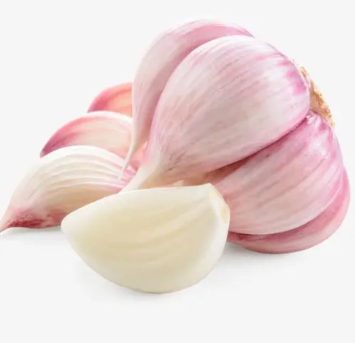 OEM Custom Garlic chinese white garlic Food supplier garlic fresh