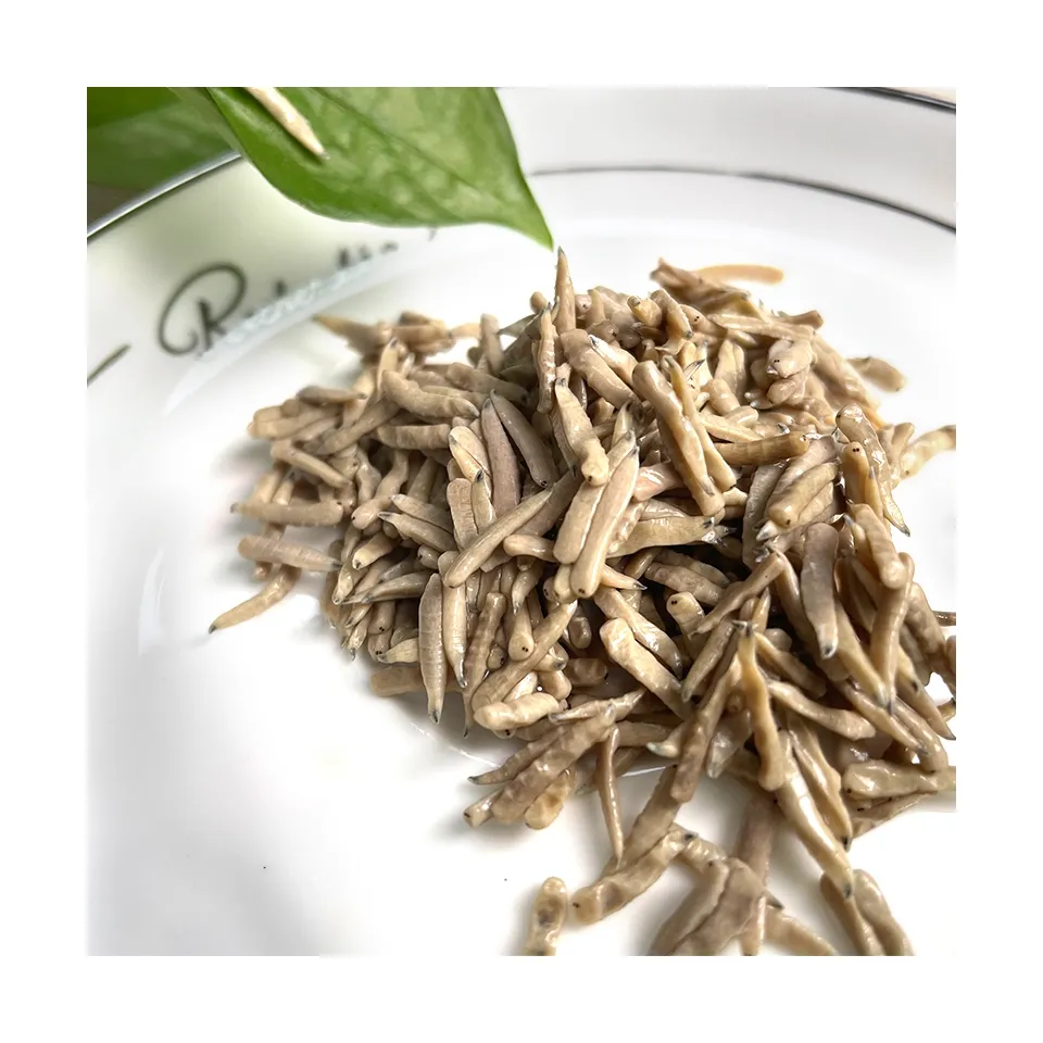 Best Selling Pet Food Insects Bulk Edible Insects Eco Fresh Riceworm