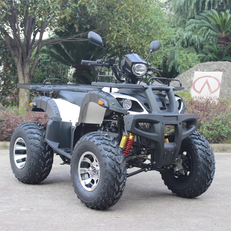 GY6 Chinese ATV Electric Starting 4 Storke Reverse Gear Mini Atv Quad Bike 200CC Atvs