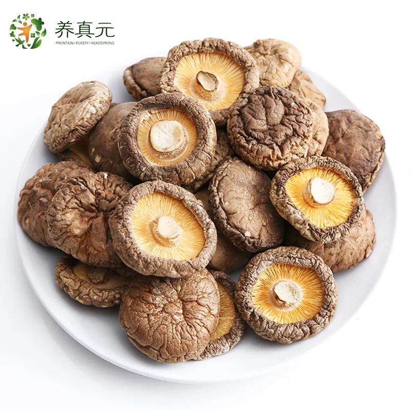 factory dried shiitake mushroom