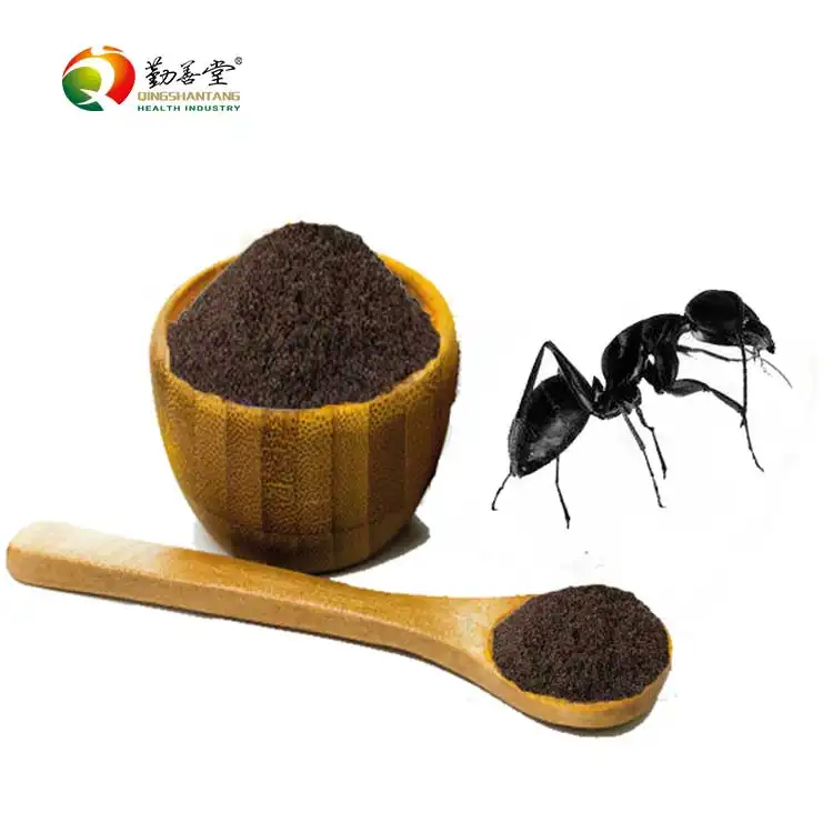 Высококачественный 100% чистый и натуральный экстракт черного муравья OEM ODM, порошок 30:1