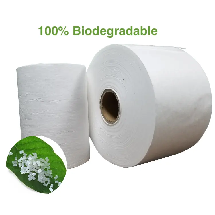 25gsm biodegradable PLA spunbond nonwoven fabric for disposable-mask EN14683