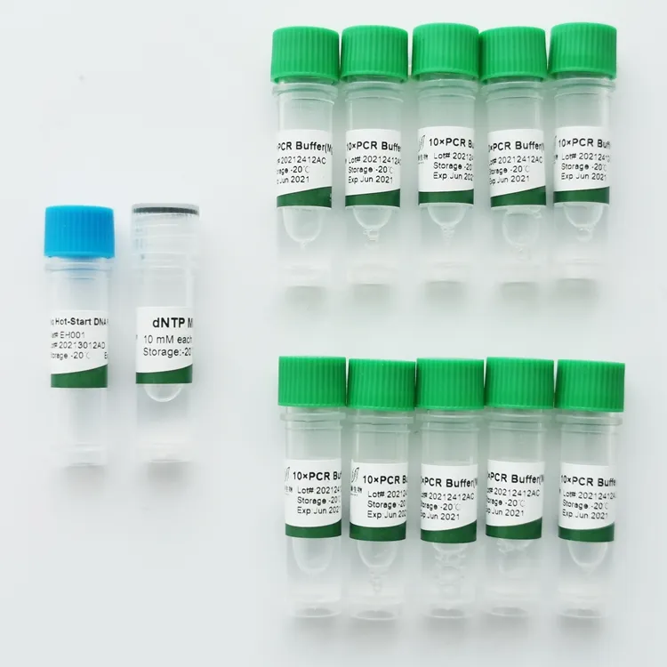 New arrival taq hot start dna polymerase biological reagent