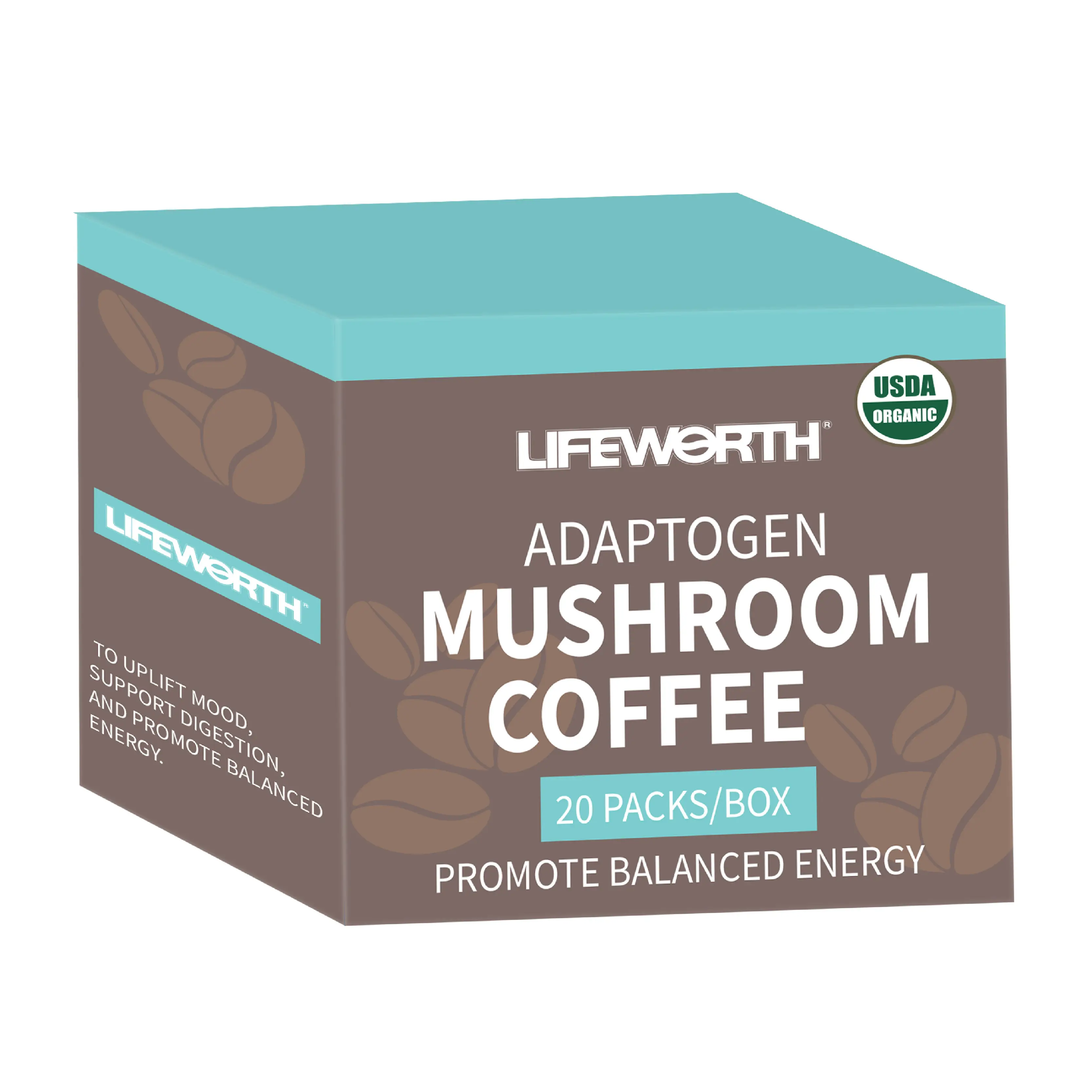 Lifeworth Free Sample Wholesale Organic Ganoderma Lucidum Reishi Mushroom Lingzhi Instant Black Coffee private label
