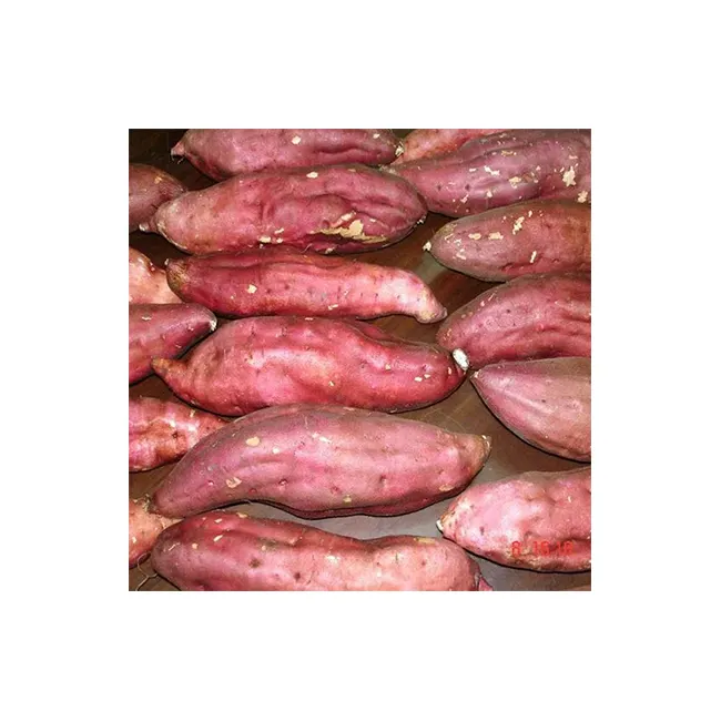 Wholesale Low Price Packaging Vegetables Egyptian Fresh Sweet Potatoes