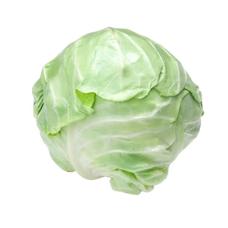 New crop of Chinese fresh vegetables round cabbage price for export