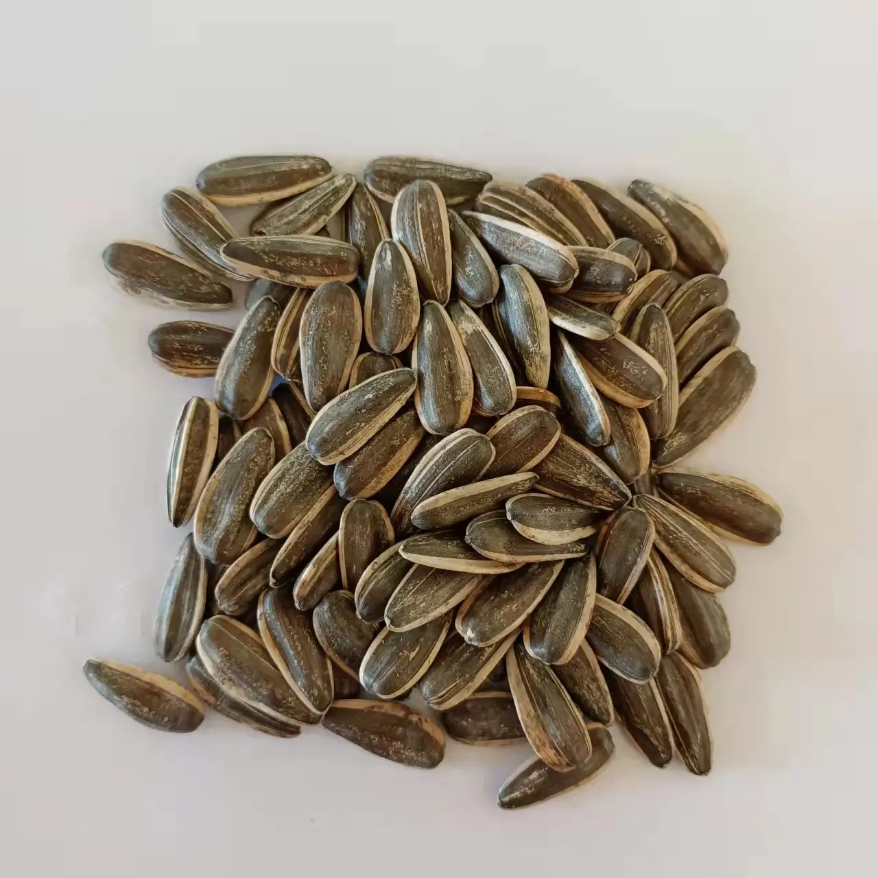 wholesale 2021 crop 361 sunflower seeds with Shell inner mongolia factory chinese