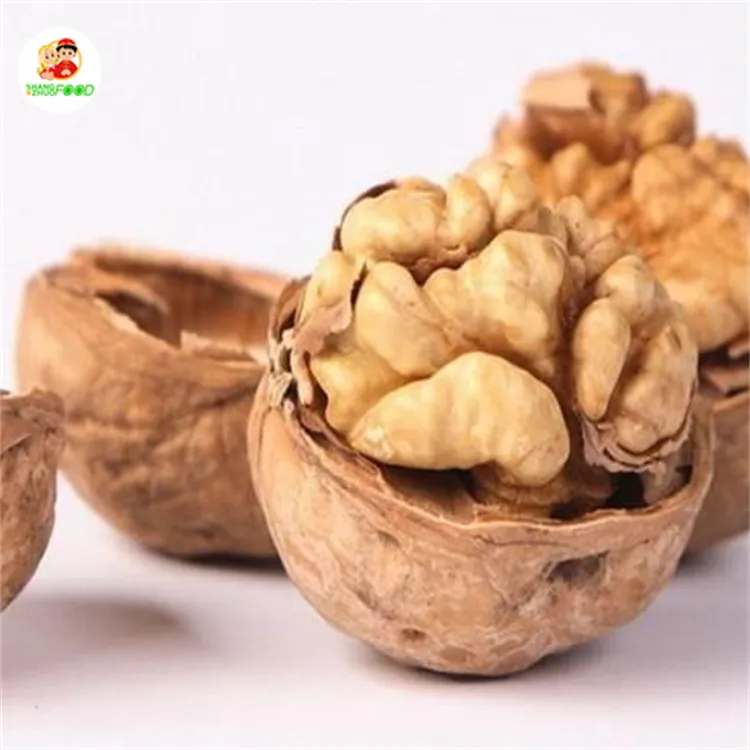 Xingjiang walnuts in dubai Light Color dry walnuts walnut kernel without shell