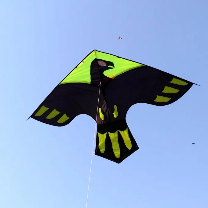 New Design Bird Kite Customized For Adult