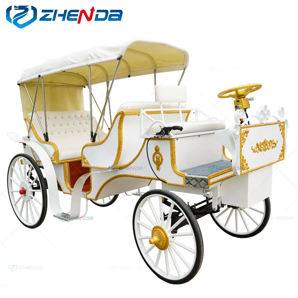 Hot Sale Electric Sightseeing Horse Carriage for Sale /wedding carriage for sale/Carriage Manufacturer {ZD-SC31}