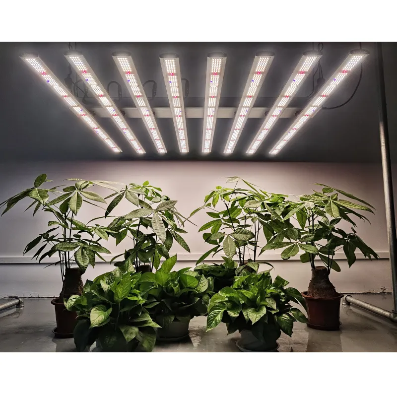 Высокая PPFD U V ИК комнатных растений Вег и цветок 800w 1000 Вт парниковых Регулируемый Spectrum Led Grow Lights