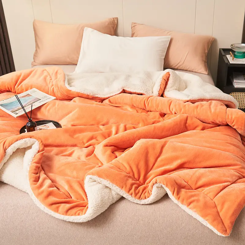 Роскошные теплые одеяла для кровати на заказ, оптовая продажа, Двухслойное однотонное Фланелевое Флисовое одеяло из полиэстера