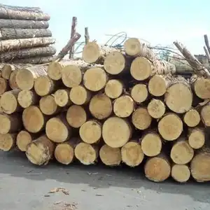 Hardness Wood Logs Timber Customized Solid Hard Wood  Manufacturer For Australia Market