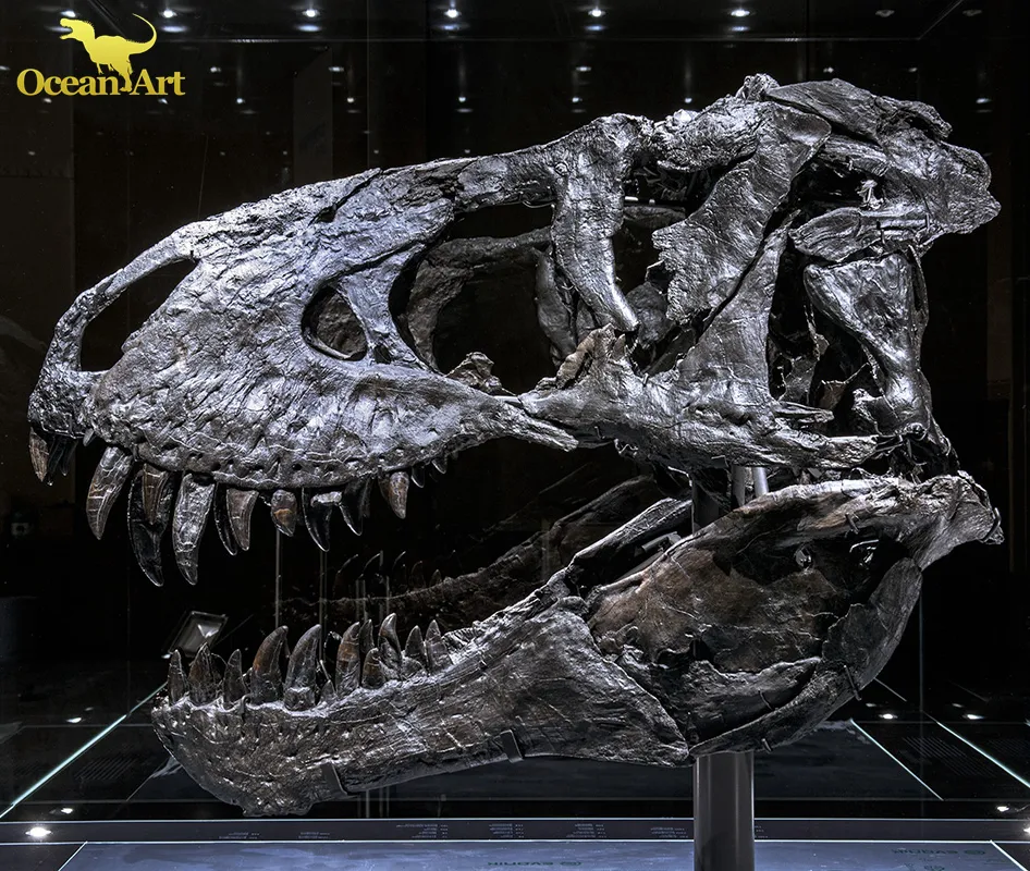 dinosaur fossil skull real t rex skeleton for sale