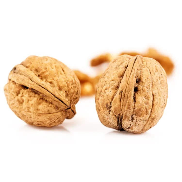 Top Quality Wallnut Wholesale Paper Raw 33 185 Walnut Bulk Price Big Walnuts In Shell