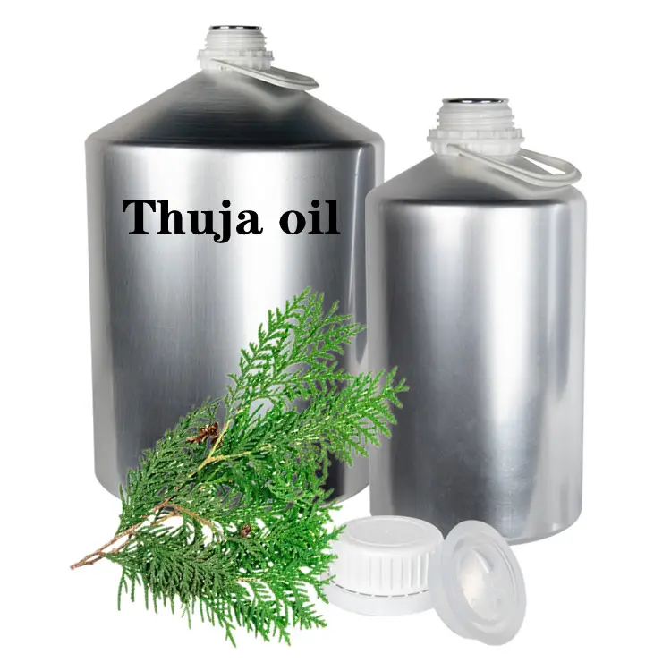 Therapeutic Grade Thuja/Arborvitae Essential Oil For Perfume Fragrance Making Deodorant Daily Necessities Cosmetic Raw Material