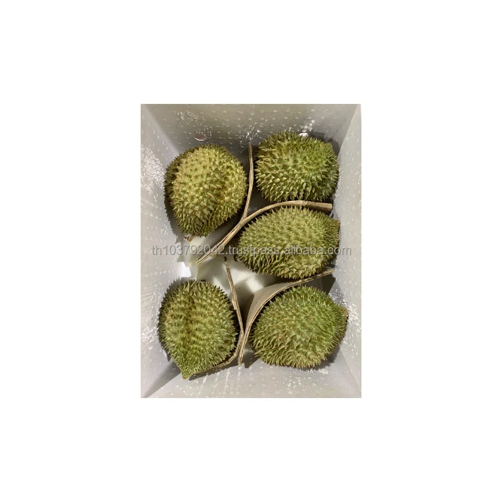 Premium Fruit Fresh Durian From Thailand