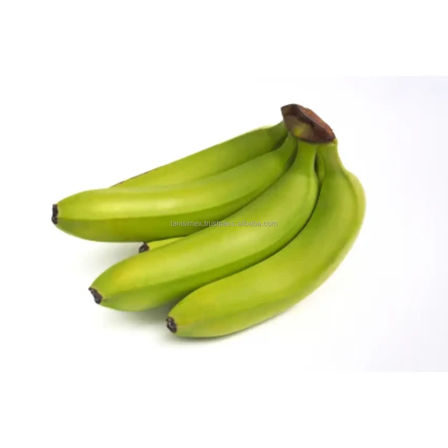 Вьетнамское банановое Королевство: свежие Кавендиш-Оптовые поставки для международных рынков