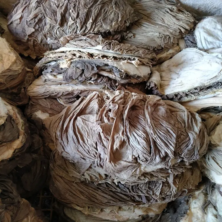 Omasum / Beef Omasum Salted Dried Buffalo / Cow Omasum Dried And Salted High Quality Omasum