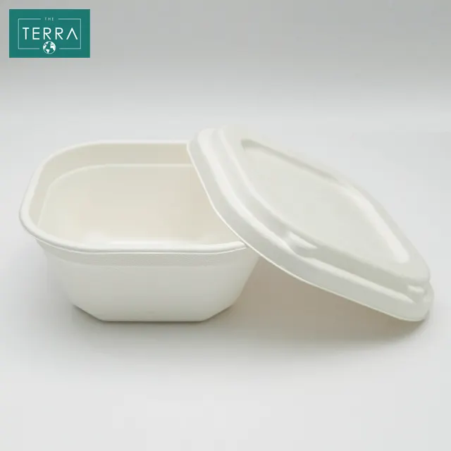 Vietnam Quality Food Biodegradable Packaging Surgarcane Bagasse Areca leaf White Natural RETANGUKAR Box With Lid