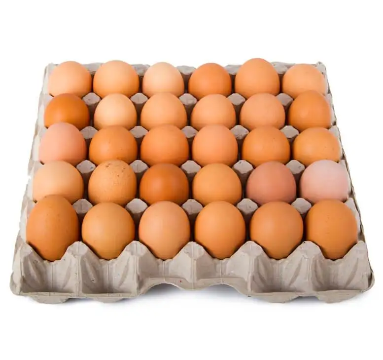 High Quality Fresh Brown Table Eggs