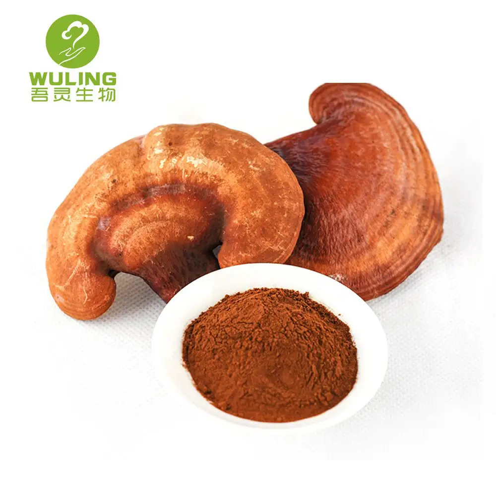 Экстракт порошка Juncao Ganoderma Lucidum, травяной экстракт, Экстракт Рейши, органическое Спортивное масло, горькое хранение в сухом и прохладном месте